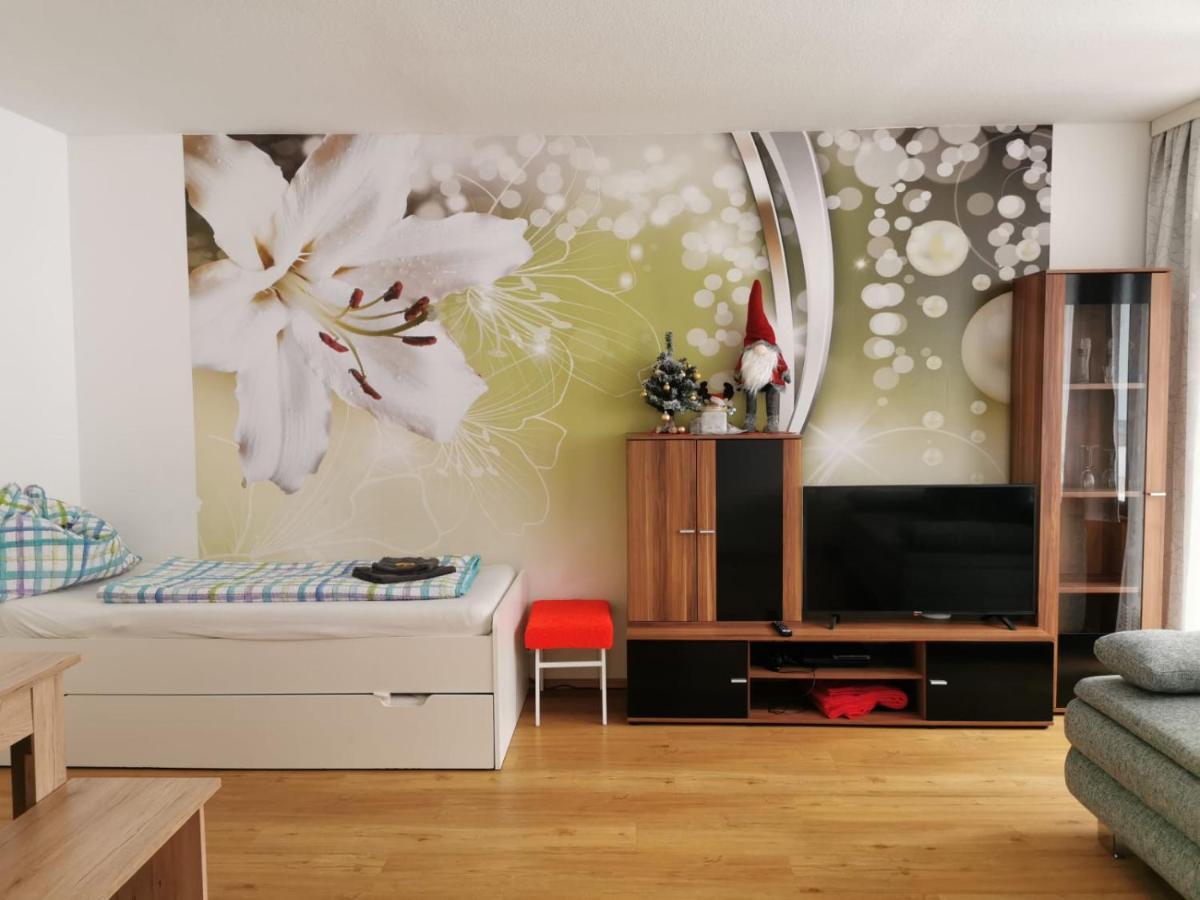 Apartment Fewo Irdning Pichlarn Aigen im Ennstal Dış mekan fotoğraf
