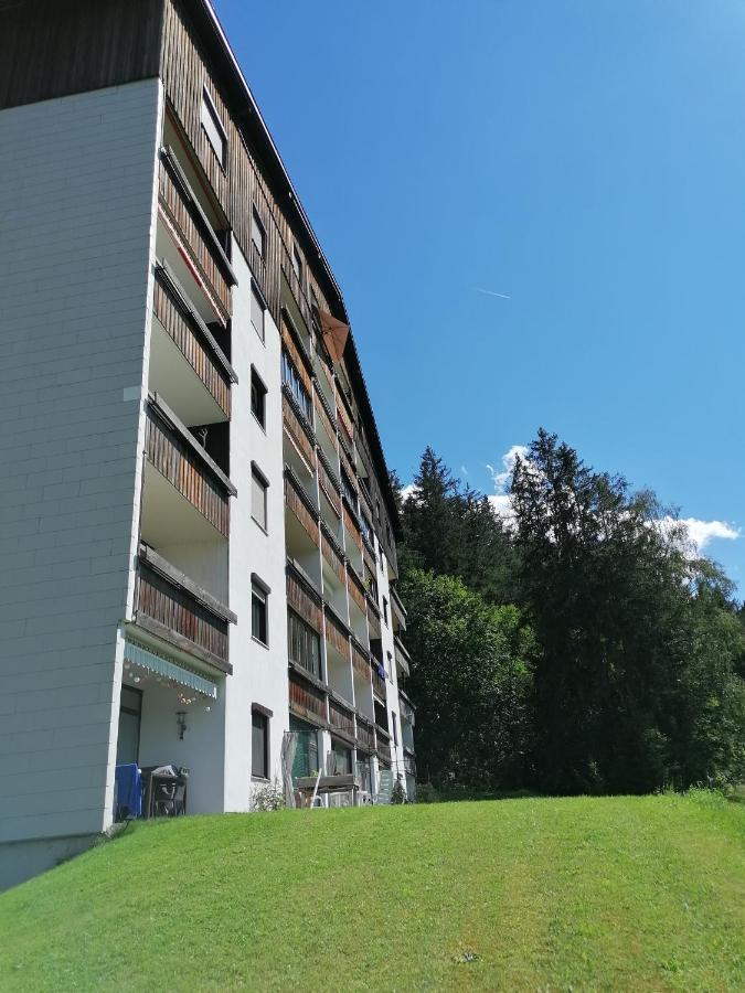 Apartment Fewo Irdning Pichlarn Aigen im Ennstal Dış mekan fotoğraf