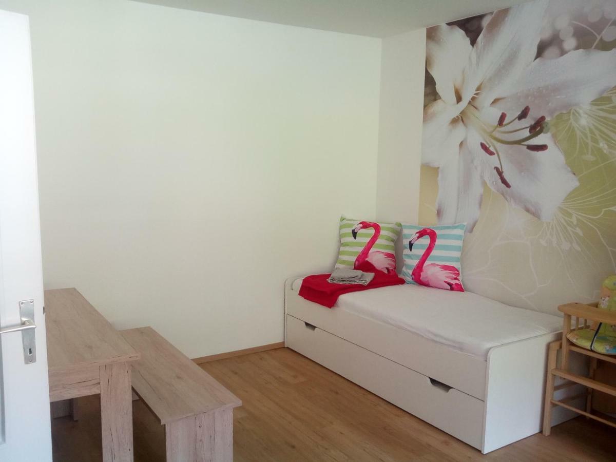 Apartment Fewo Irdning Pichlarn Aigen im Ennstal Dış mekan fotoğraf