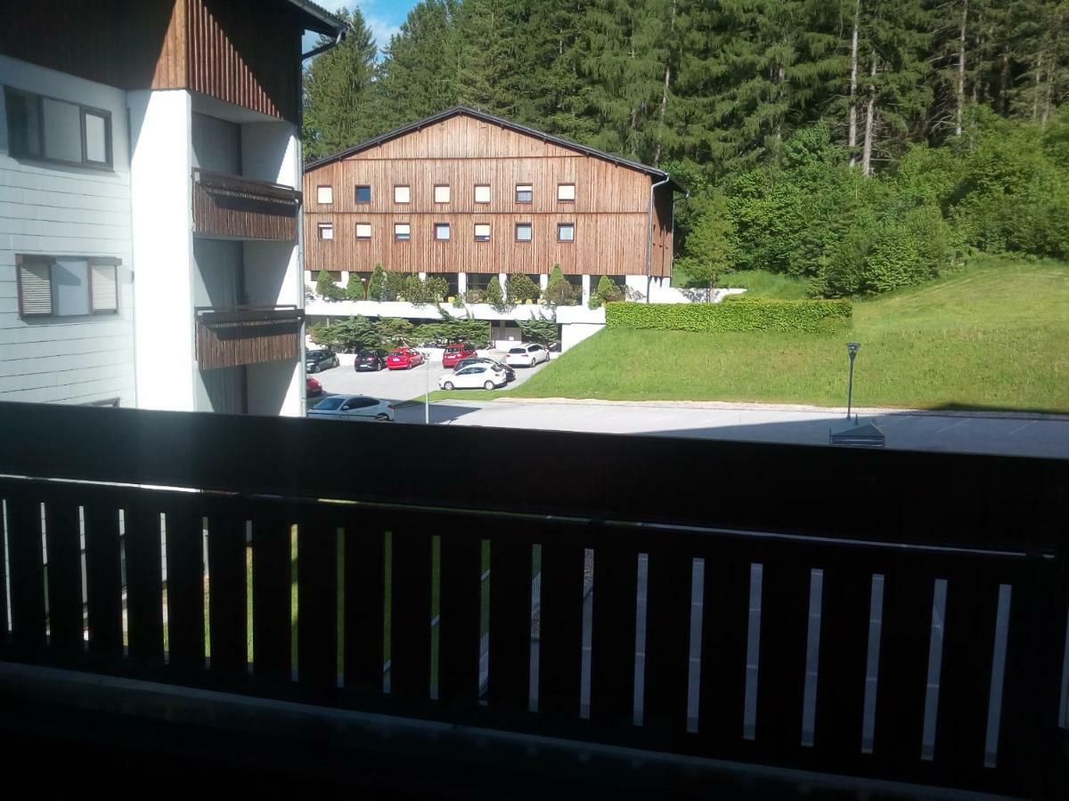 Apartment Fewo Irdning Pichlarn Aigen im Ennstal Dış mekan fotoğraf