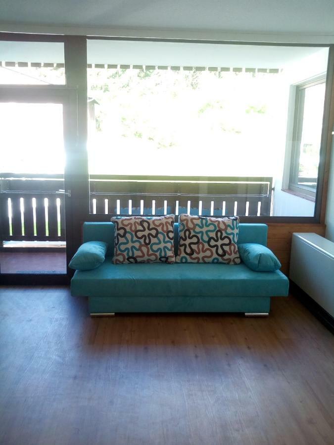 Apartment Fewo Irdning Pichlarn Aigen im Ennstal Dış mekan fotoğraf