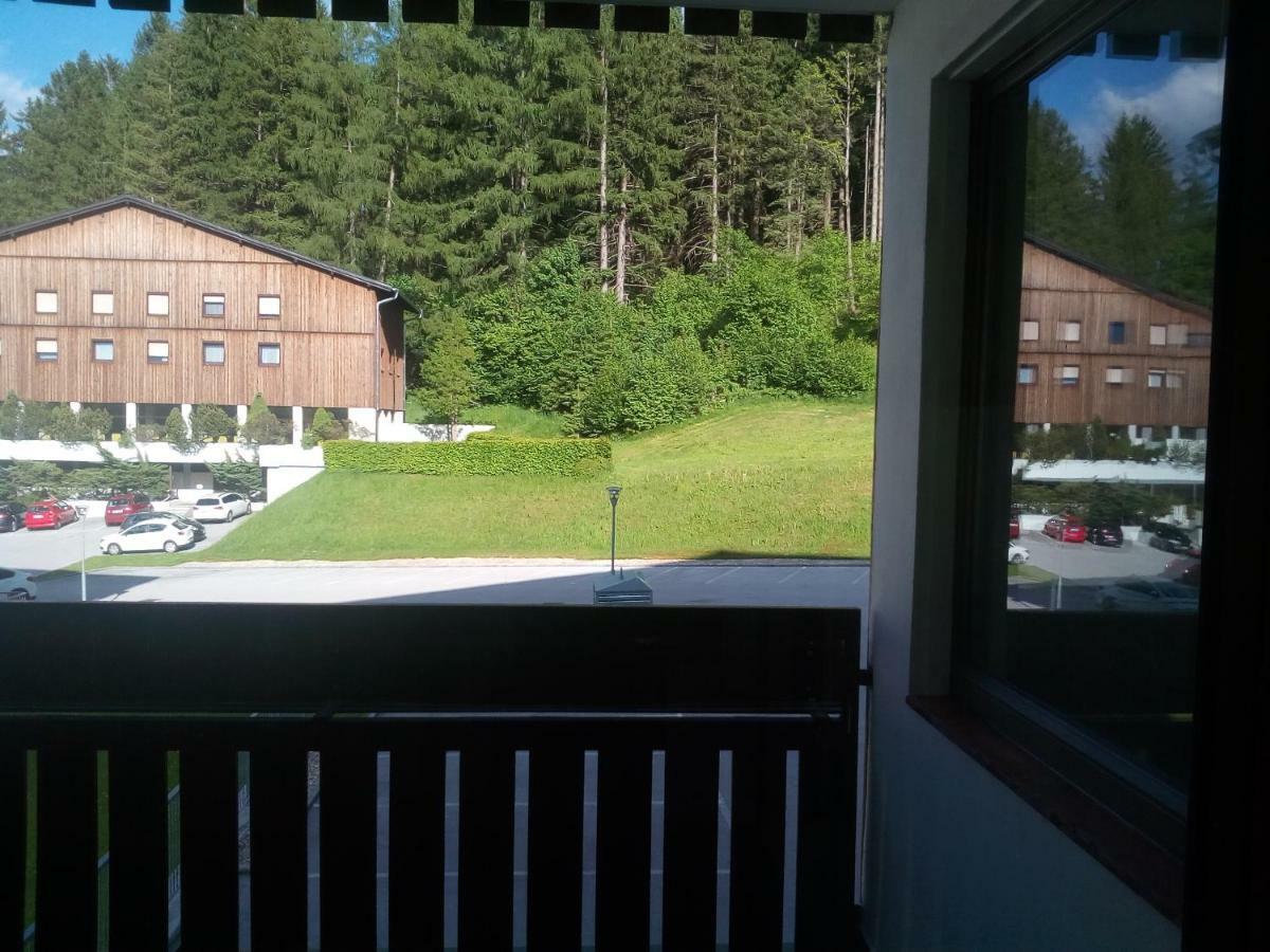 Apartment Fewo Irdning Pichlarn Aigen im Ennstal Dış mekan fotoğraf