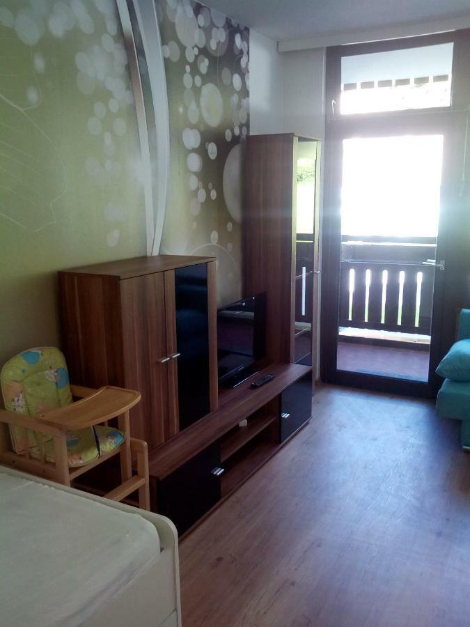 Apartment Fewo Irdning Pichlarn Aigen im Ennstal Dış mekan fotoğraf