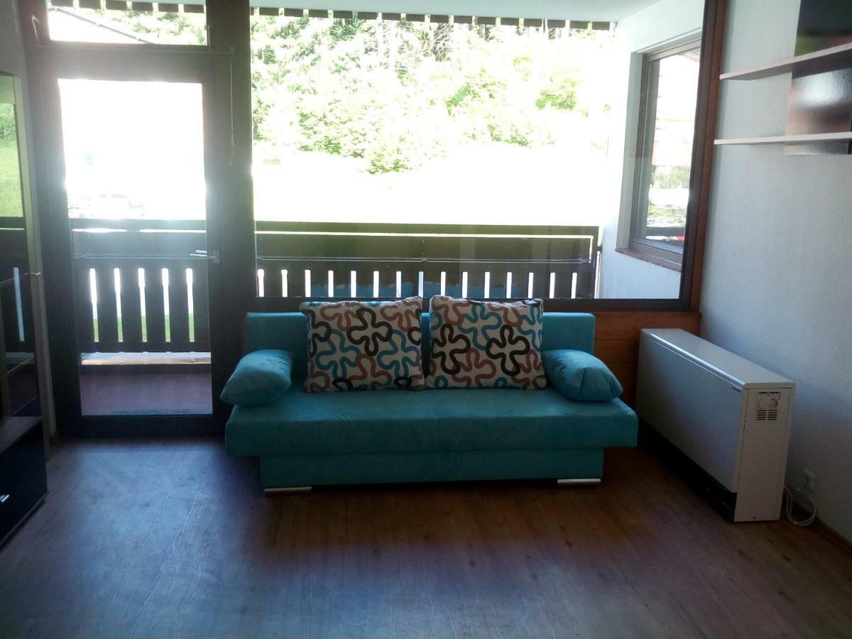Apartment Fewo Irdning Pichlarn Aigen im Ennstal Dış mekan fotoğraf